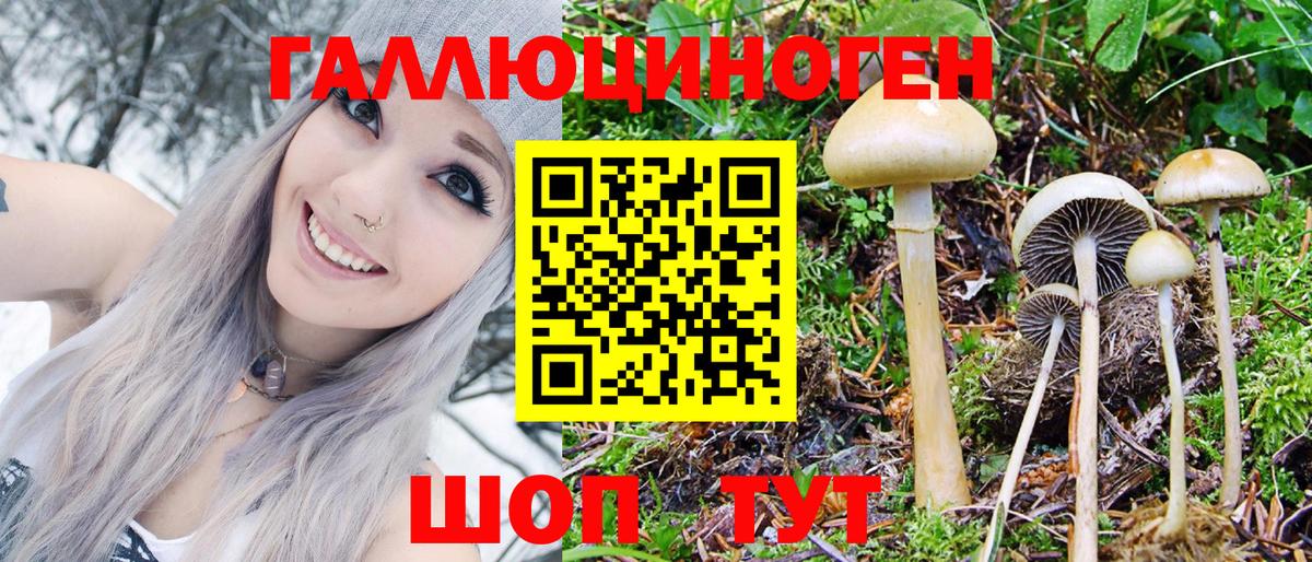 Галлюциногенные грибы MAGIC MUSHROOMS  Галлюциногенные грибы ЛСД  Павлово  Вход с VPN 